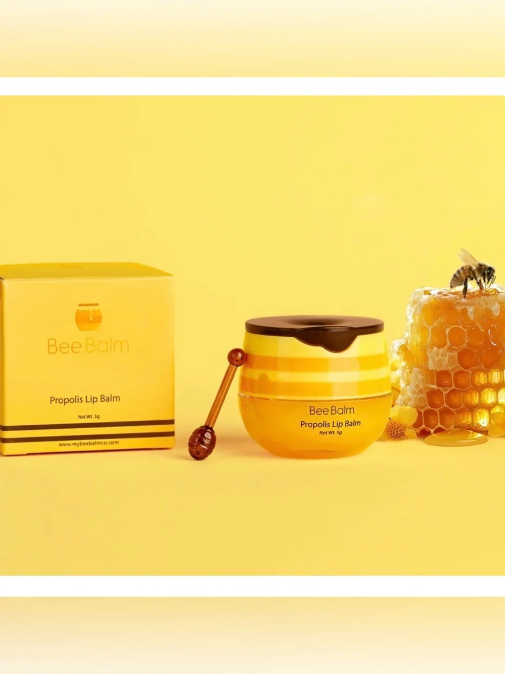 Assorted flavors Bee balm lip balms-cute honey pot design.